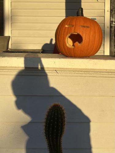 cutest-pumpkin