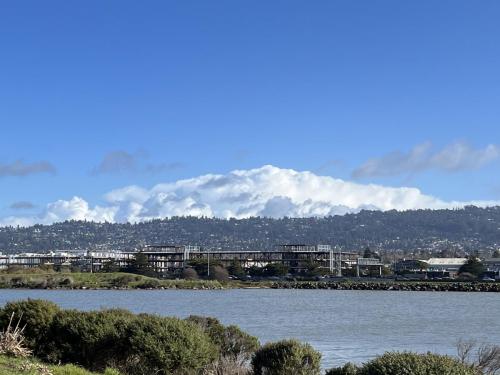 mount-fuji-of-berkeley